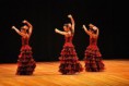 /album/flamenco/a577374-326152257482200-2001233536-n-jpg/
