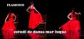 /album/flamenco/a11148697-10207756222808393-6170378068790853099-n-jpg/