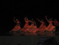 /album/flamenco/a487020-326451197452306-1214405408-n-jpg/